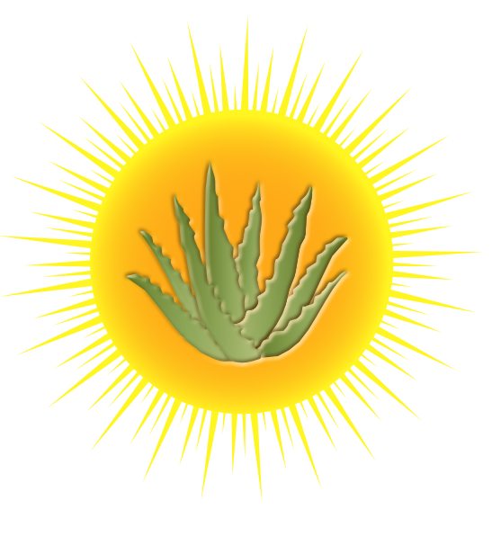 Experience the soothing power of Aloe Vera  Nature's Healer