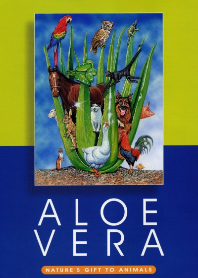Experience the soothing power of Aloe Vera  Nature's Healer